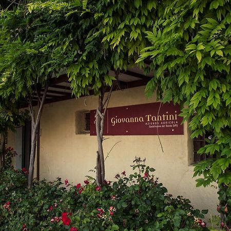 Agriturismo I Mischi Кастельнуово-дель-Гарда Экстерьер фото