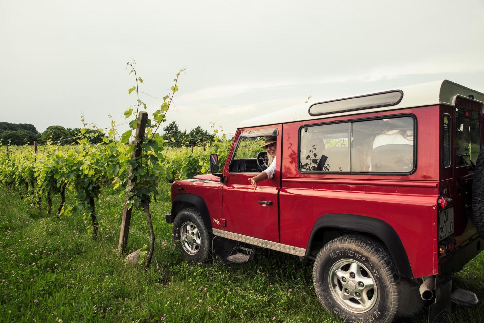 Agriturismo I Mischi Кастельнуово-дель-Гарда Экстерьер фото