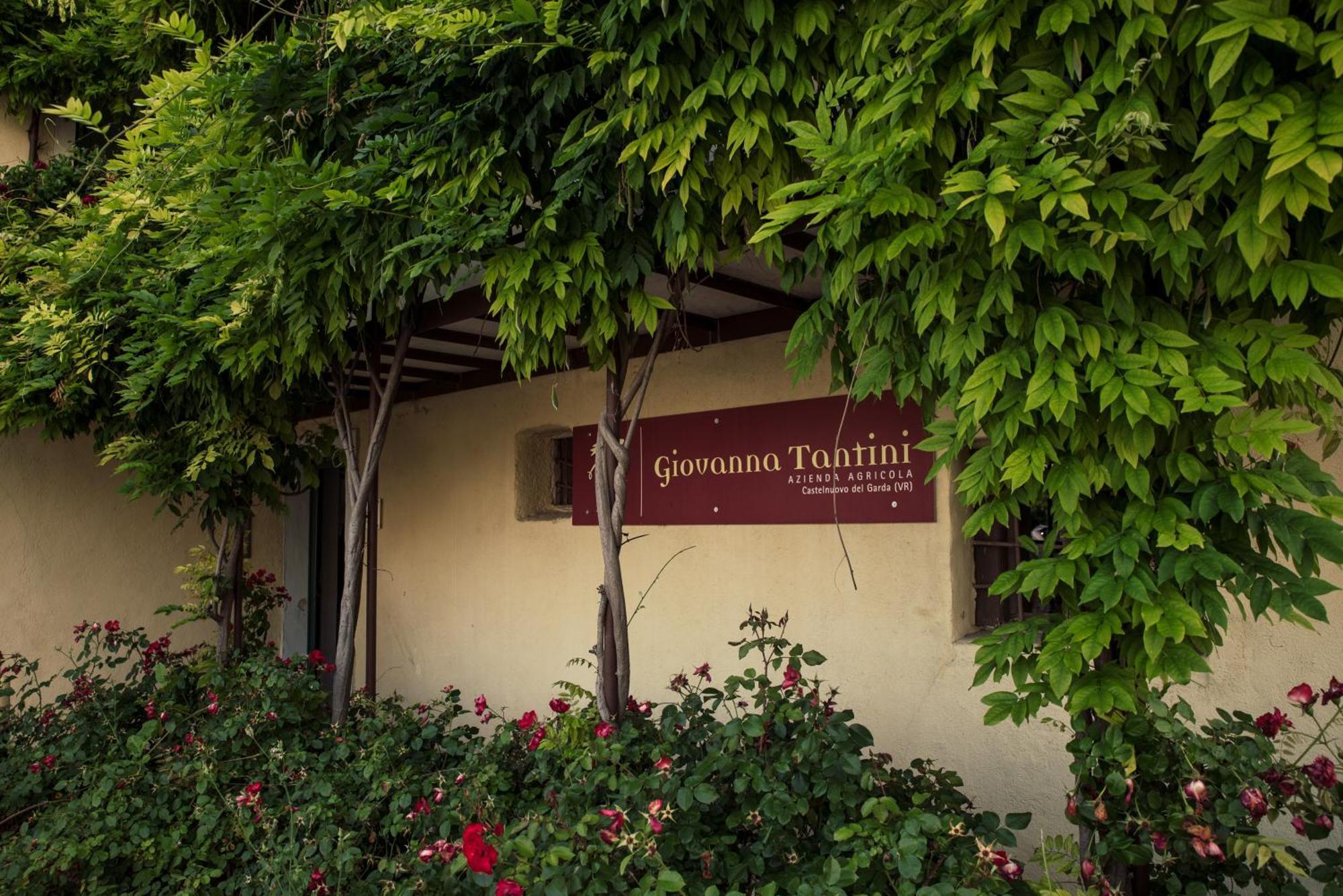Agriturismo I Mischi Кастельнуово-дель-Гарда Экстерьер фото