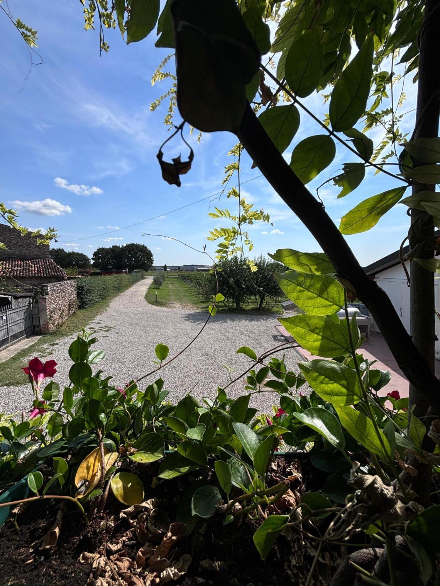Agriturismo I Mischi Кастельнуово-дель-Гарда Экстерьер фото