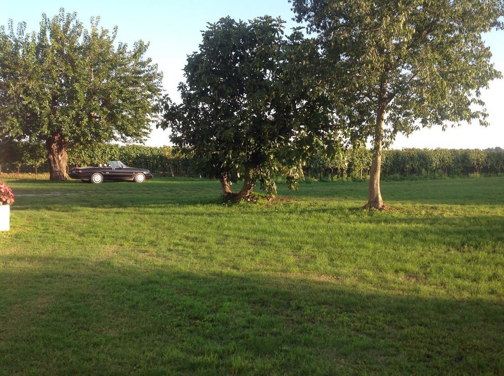 Agriturismo I Mischi Кастельнуово-дель-Гарда Экстерьер фото
